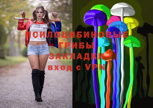 a pvp Протвино