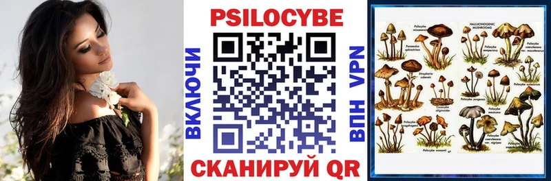 Псилоцибиновые грибы Psilocybine cubensis  Белозерск 